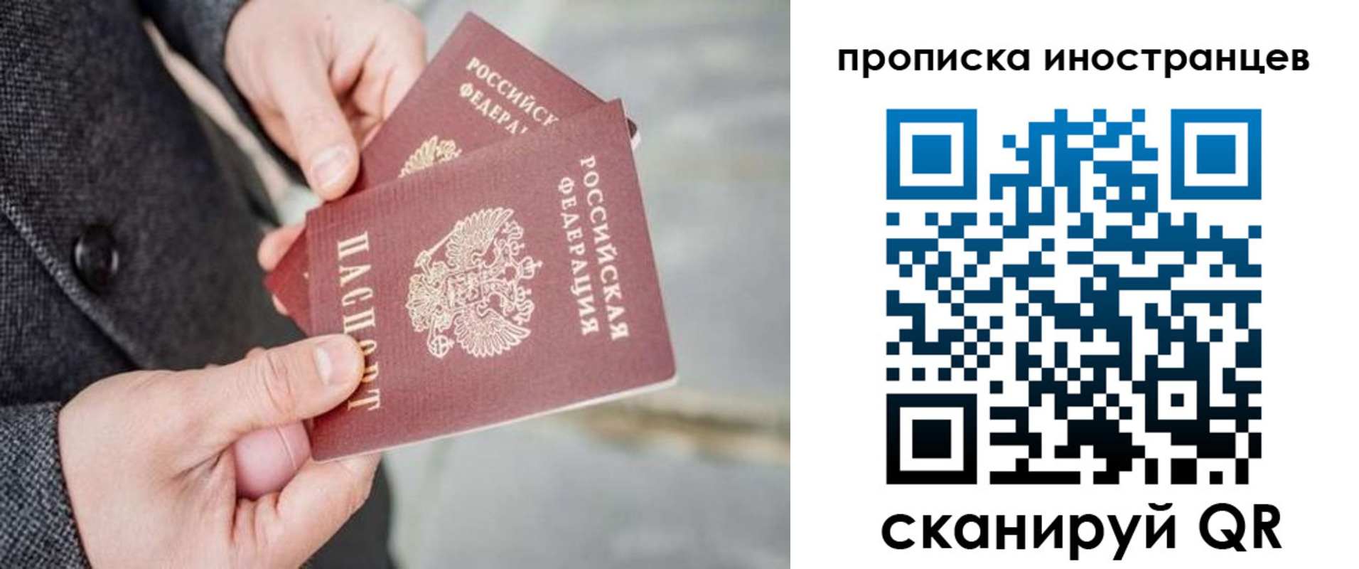 прописка для школы в Благодарном
